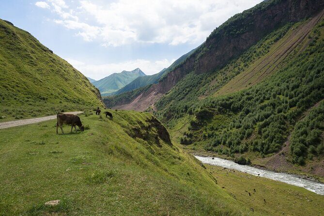 Round-Trip Bus Transfer to Truso Valley from Kazbegi - Who Is This Tour Best For?