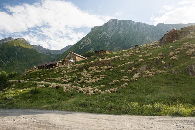 Round-Trip Bus Transfer to Truso Valley from Kazbegi - FAQ