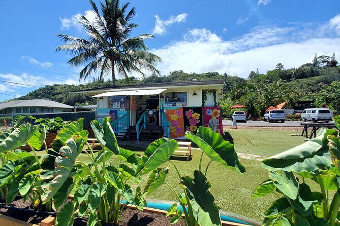 Round Trip North Shore Shuttle from Waikiki to Haleiwa Town / Haleiwa Harbor - A Closer Look at the North Shore Shuttle Experience