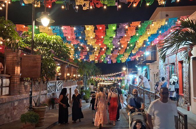 Round Trip Private Trip Los Cabos-San Jose Cabo Airport - Who Should Consider This Transfer?