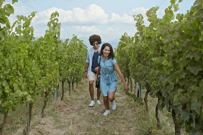 Roundtrip Airport Transportation with wine tour package - Who Should Consider This Tour?