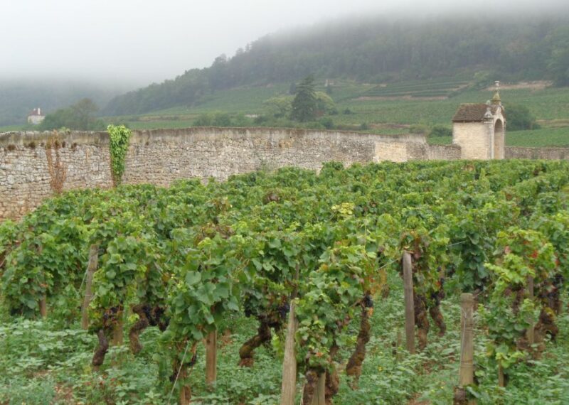 "Route des grands crus", private wine tasting in Burgundy ! - Analyzing the Cost and Value