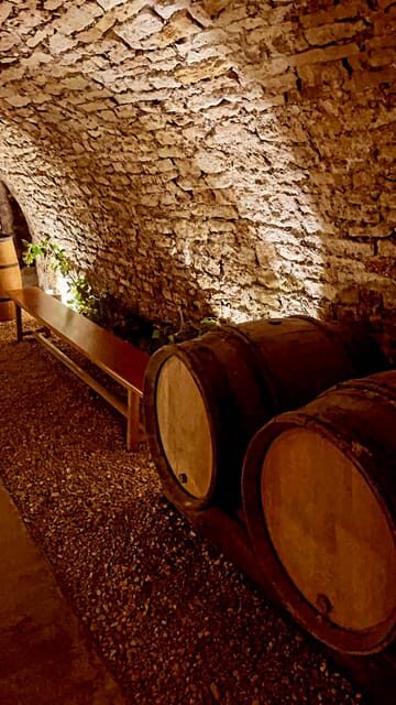 Route du Champagne: Food and wine tour - A Deep Dive into the Route du Champagne Experience