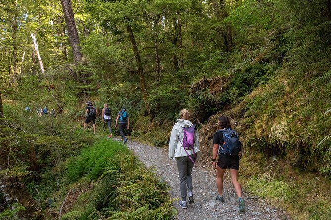 Routeburn Track Guided Hike (Full Day) - Who Will Love This Trip?