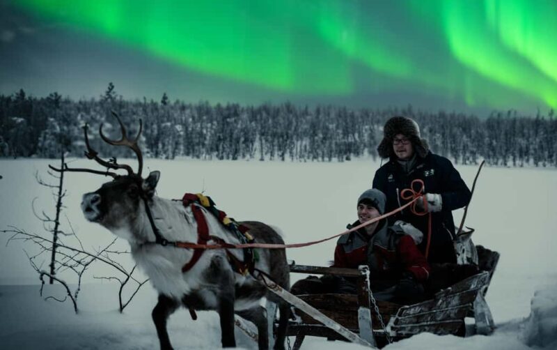 Rovaniemi: 2km Aurora Reindeer Safari Through the Forest - An Honest Look at the Reindeer Safari Experience