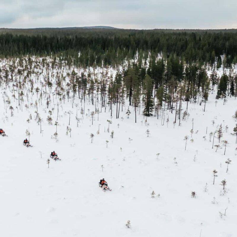 Rovaniemi: 3h Electric Snowmobile Safari at Reindeer Farm - Key Points