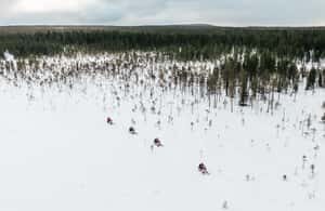 Rovaniemi: 3h Electric Snowmobile Safari at Reindeer Farm - Campfire and Snacks