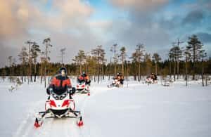 Rovaniemi: 3h Electric Snowmobile Safari at Reindeer Farm - Who Should Consider This Tour?