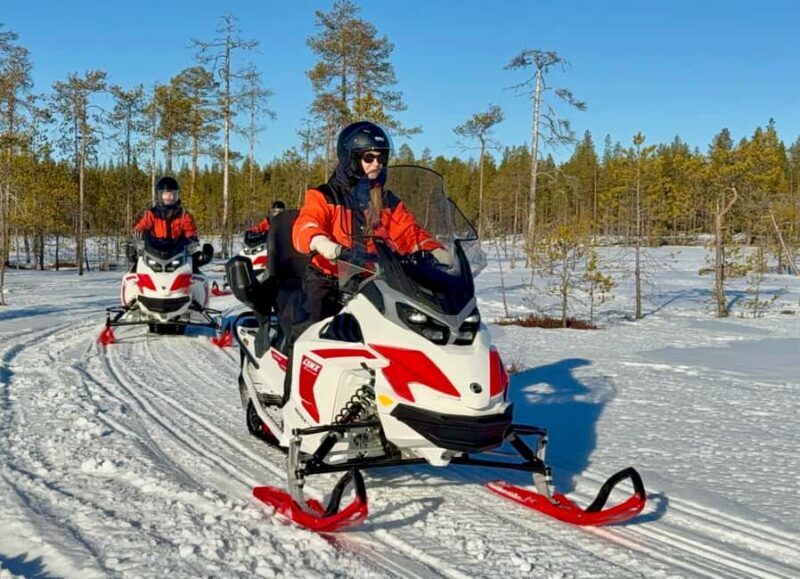 Rovaniemi: 4h Electric Snowmobile Safari at Reindeer Farm - Rovaniemi: 4h Electric Snowmobile Safari at Reindeer Farm — A Practical Look