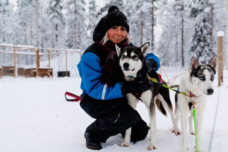 Rovaniemi: 7-Kilometer Self-Driven Apukka Husky Adventure - What Is the Rovaniemi Husky Experience All About?