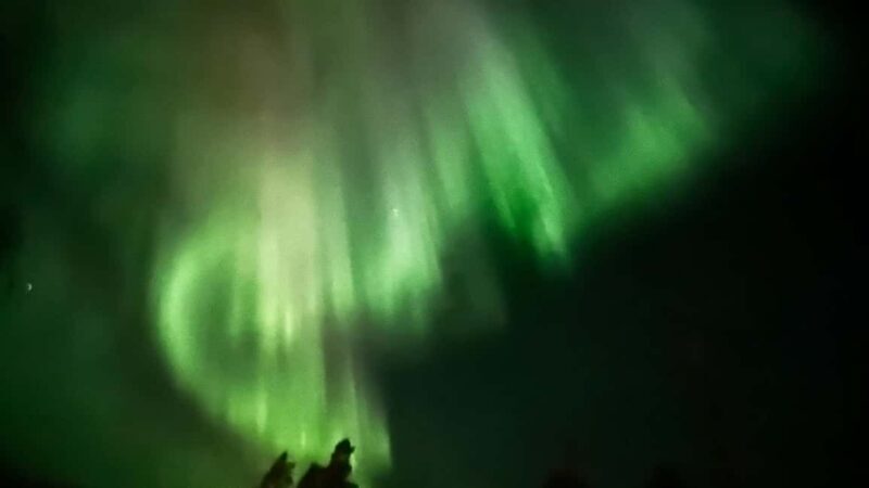 Rovaniemi: All-Inclusive Ranua Zoo Excursion & Aurora Dinner - Who Should Consider This Tour?