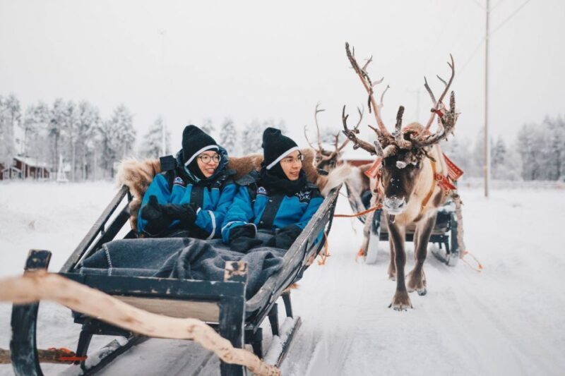 Rovaniemi: Apukka Reindeer Journey - An In-Depth Look at the Reindeer Journey Experience