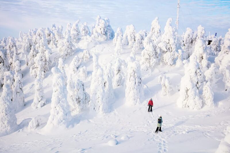 Rovaniemi: Arctic Animals Sleigh Rides and Wildlife Zoo - FAQs