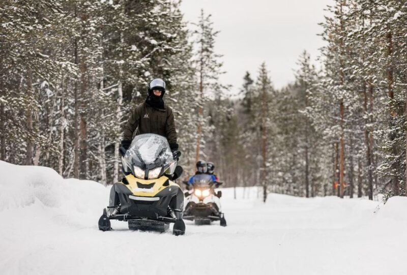 Rovaniemi: Arctic Circle Family-Friendly Snowmobile Tour - The Sum Up