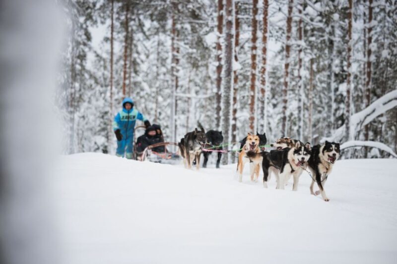 Rovaniemi: Arctic Circle Highlights by Snowmobile - Introduction
