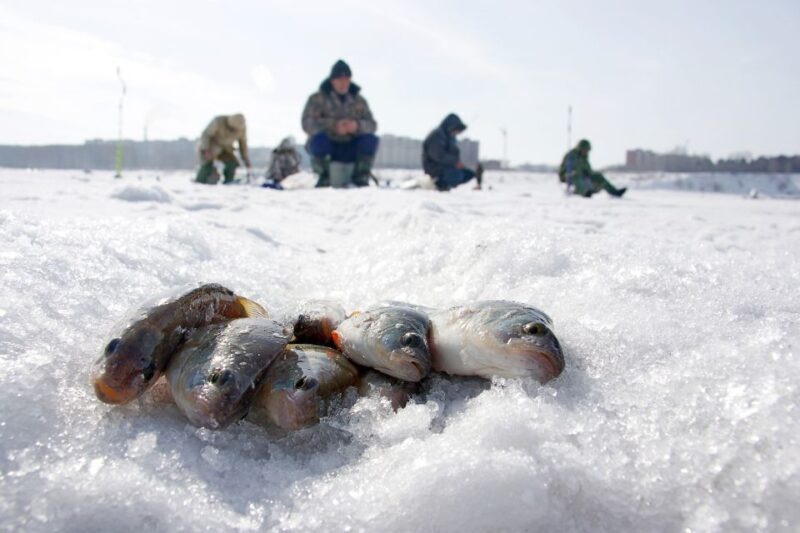 Rovaniemi: Arctic Circle Ice Fishing Experience - Who Will Enjoy This Tour?