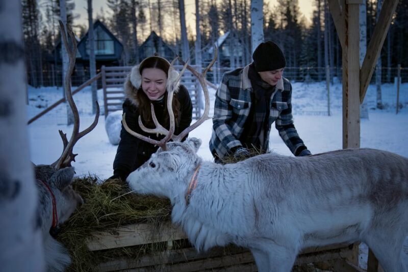 Rovaniemi: Arctic Reindeer Experience with Lunch - What’s Included and How It’s Structured