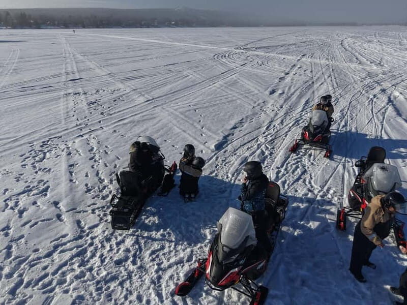 Rovaniemi: Arctic Snowmobiling Ride with Local Guide - Key Points