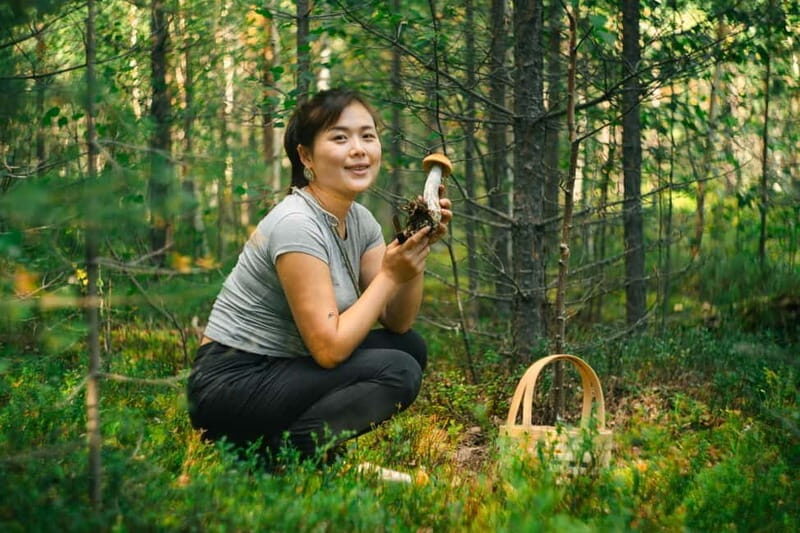Rovaniemi: Arctic Wild Berry & Mushroom Foraging and Tasting - What to Expect from the Foraging Tour