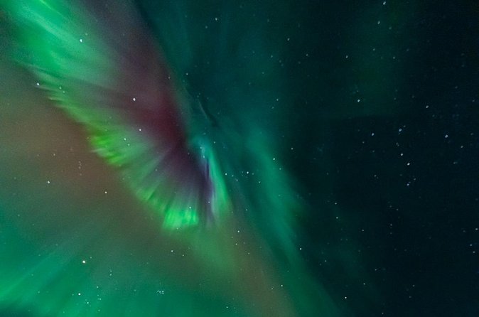 Rovaniemi: Aurora Activity Guarantee - 97% Success Rate Tour - How the tour handles forecasts (and when they move your reservation)