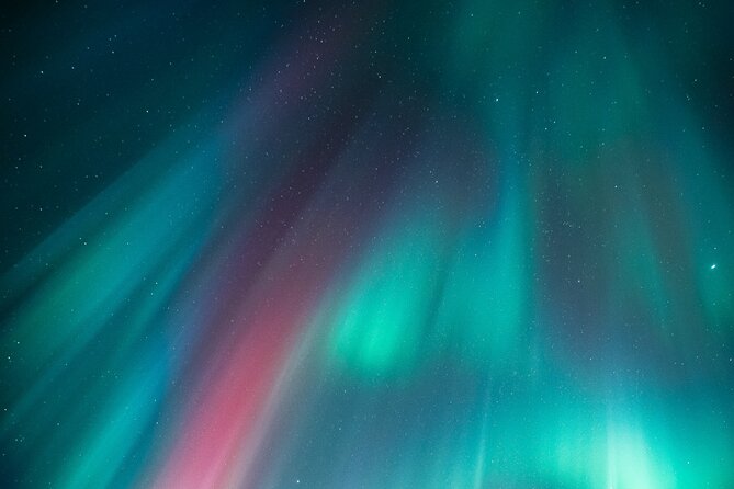 Rovaniemi: Aurora Activity Guarantee - 97% Success Rate Tour - The ride style: minivans, small groups, and real driving time