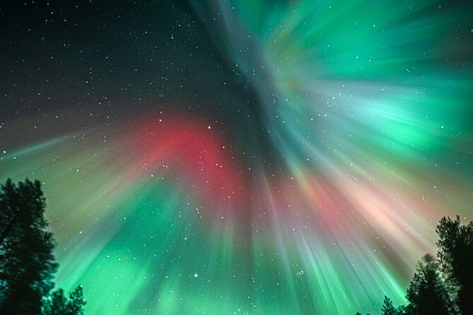 Rovaniemi: Aurora Activity Guarantee - 97% Success Rate Tour - Stop 1 in Rovaniemi: the “best-night” kickoff