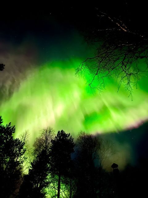 Rovaniemi: Aurora BBQ at the Best Spots - Key Points