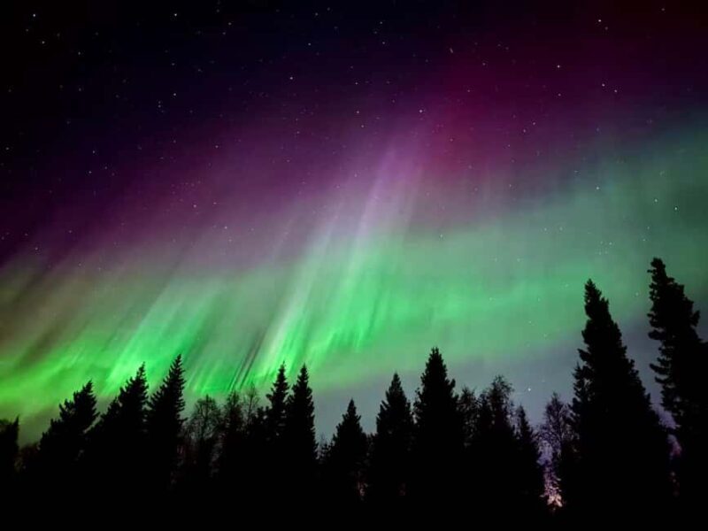 Rovaniemi: Aurora BBQ at the Best Spots - Who Is This Tour Best For?