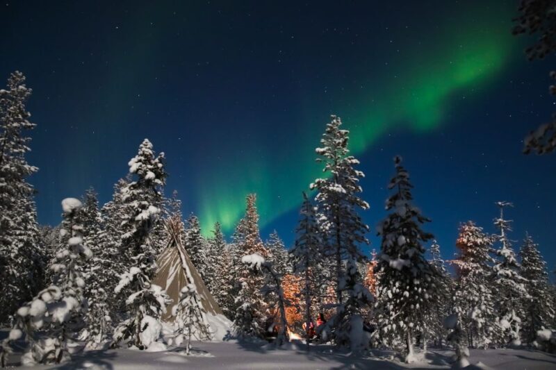 Rovaniemi: Aurora Borealis and Picnic - What to Expect on the Aurora Borealis and Picnic Tour
