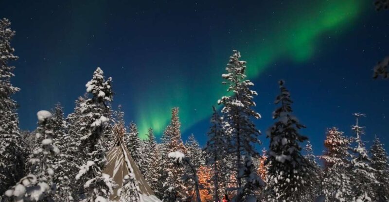Rovaniemi: Aurora Borealis and Picnic - The Food and Comfort Level