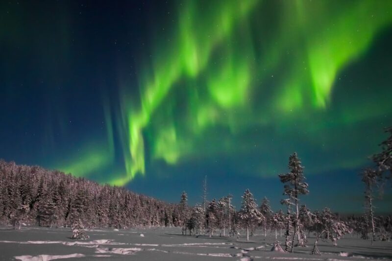 Rovaniemi: Aurora Borealis and Picnic - The Cost and Value