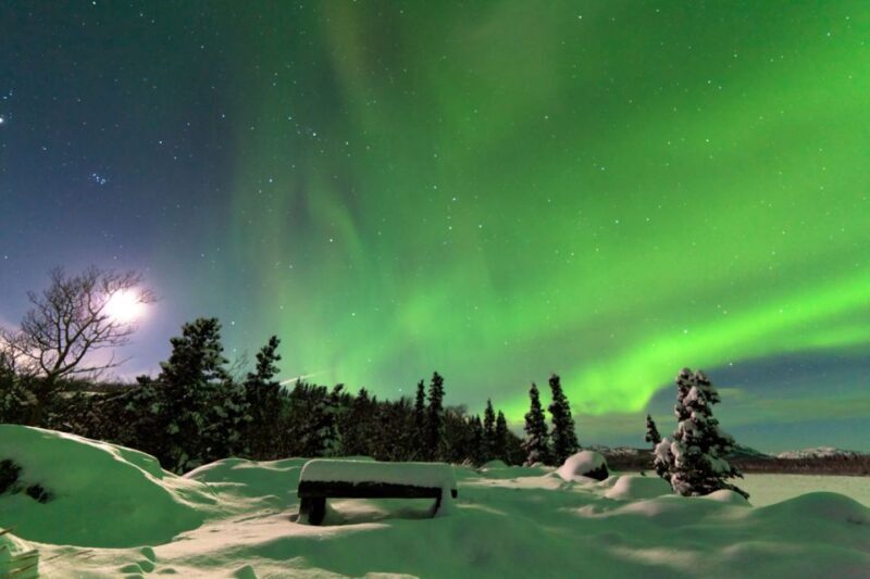 Rovaniemi: Aurora Borealis Snowmobile Safari with Campfire - The Snowmobiles and Safety