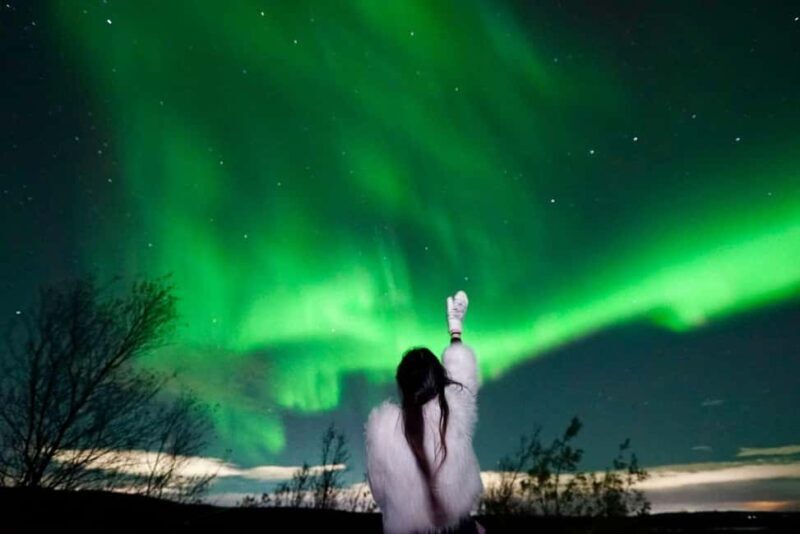 Rovaniemi Aurora Fire & Flavour  Arctic Gastronomy Tour - What to Expect from the Tour