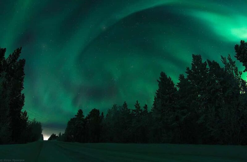 Rovaniemi Aurora Fire & Flavour  Arctic Gastronomy Tour - The Value of the Experience