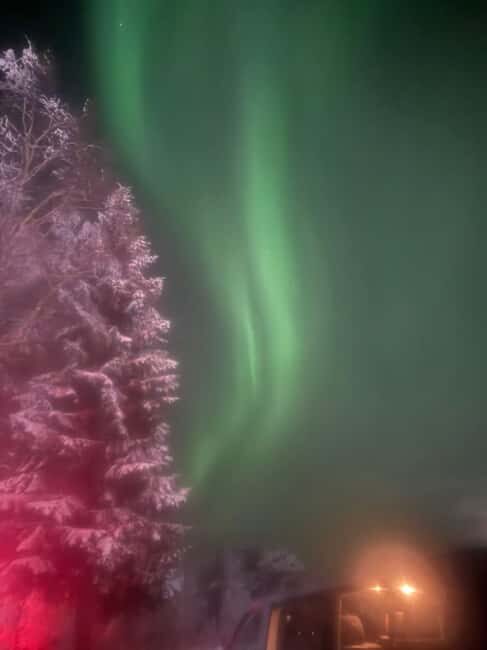 Rovaniemi Aurora Fire & Flavour  Arctic Gastronomy Tour - Who Is This Tour Best For?