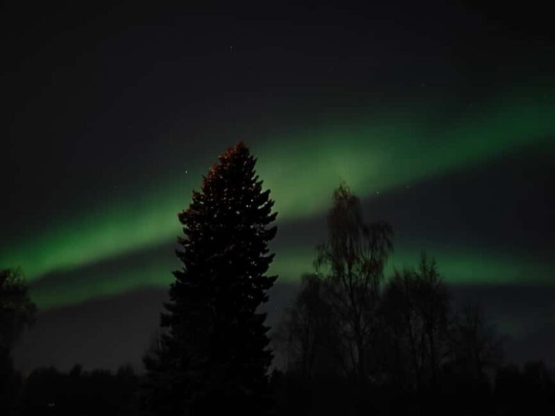 Rovaniemi: Aurora Hunt Snowshoeing Adventure with Guide - Pricing and Value