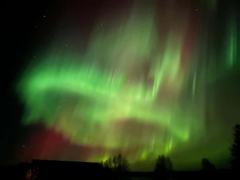 Rovaniemi: Aurora Hunt - Who Is This Tour Best For?