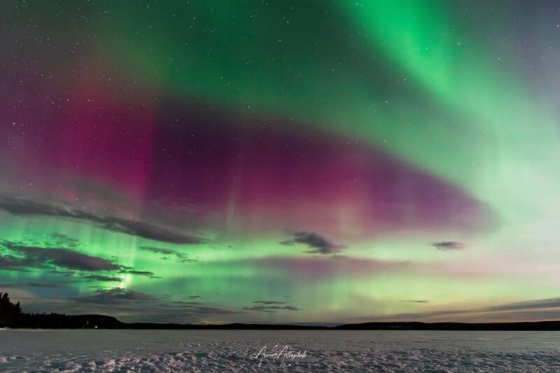 Rovaniemi: Aurora Hunting & Photography Tour - Key Points