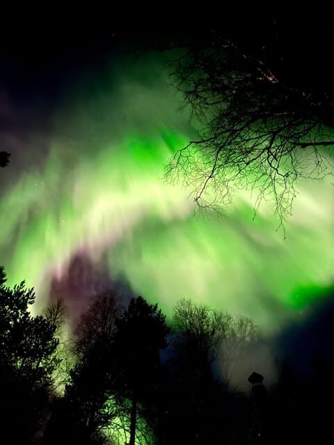 Rovaniemi: Aurora Hunting & Photography Tour - Who Should Consider This Tour?