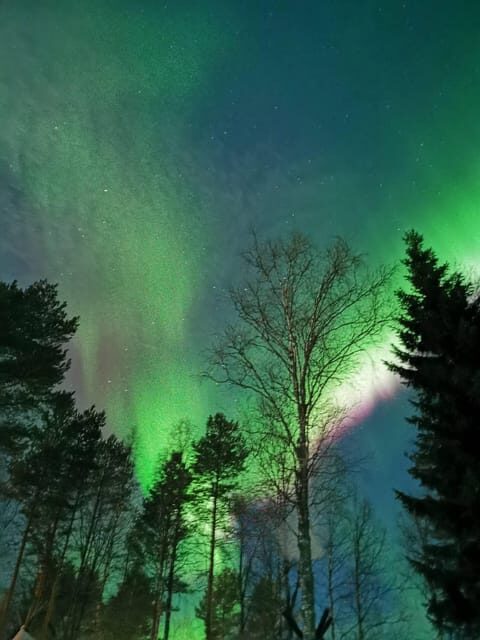 Rovaniemi: Aurora Hunting & Photography Tour - Final Thoughts