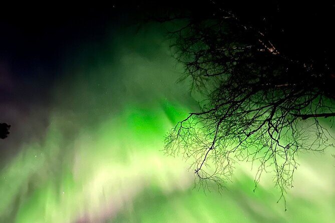 Rovaniemi: Aurora Hunting & Photography Tour - What to Expect from the Aurora Hunting & Photography Tour in Rovaniemi