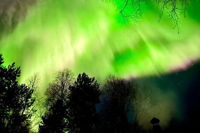 Rovaniemi: Aurora Hunting & Photography Tour - FAQ
