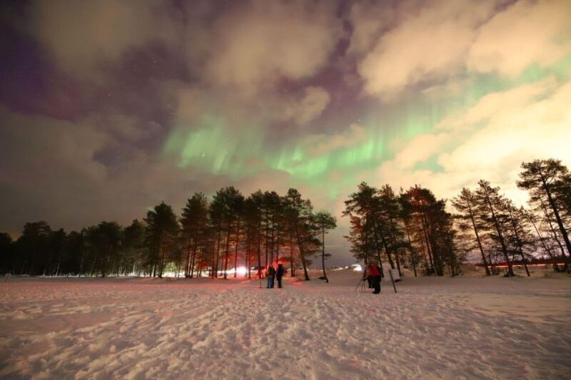 Rovaniemi: Aurora Hunting Photography Tour(98% Success Rate) - Key Points