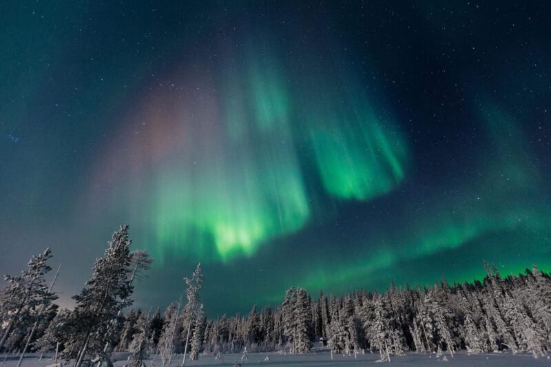 Rovaniemi: Aurora Hunting Tour in the Forest with Hot Drinks - Key Points