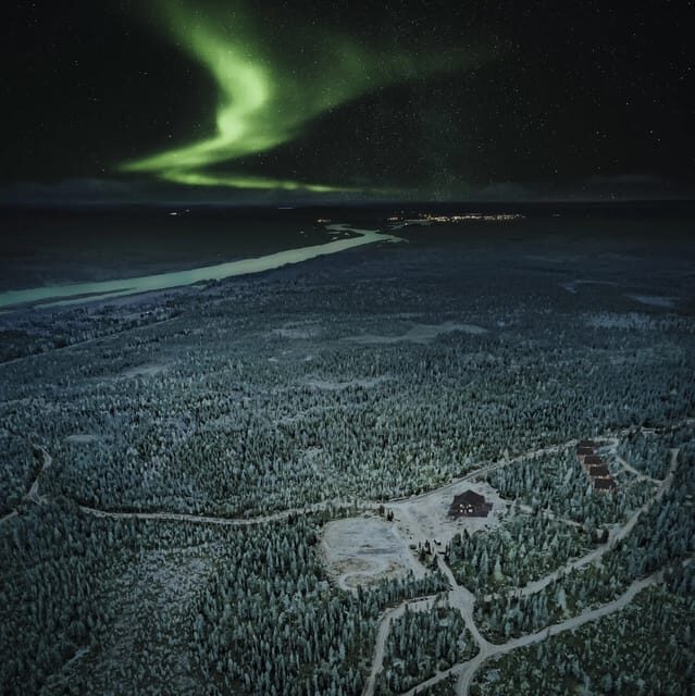 Rovaniemi: Aurora Hunting Tour in the Forest with Hot Drinks - What to Expect on the Tour