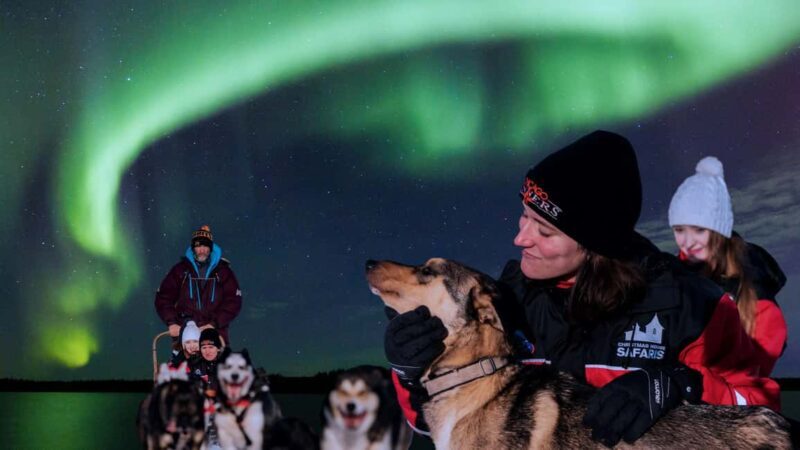 Rovaniemi: Aurora Husky Safari Through the Forest - Key Points