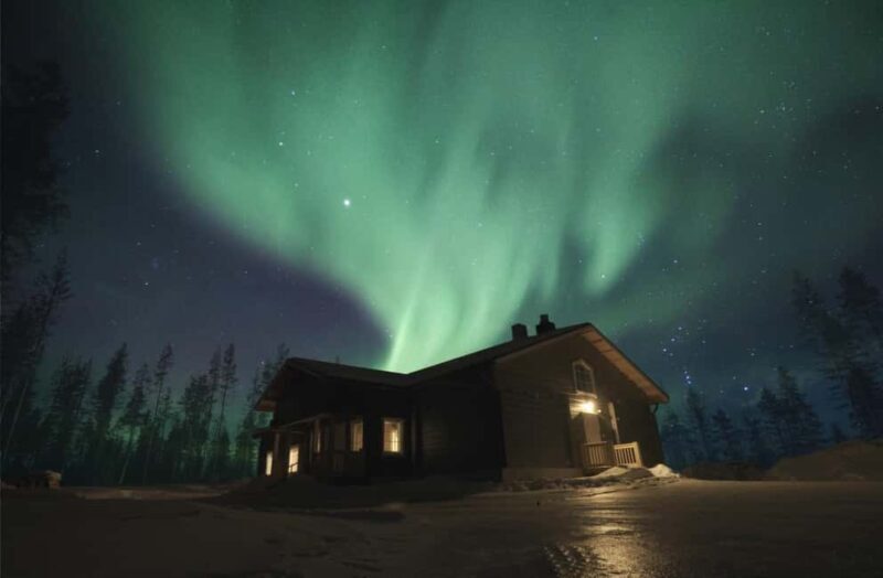 Rovaniemi: Aurora Husky Safari Through the Forest - The Experience: What to Expect