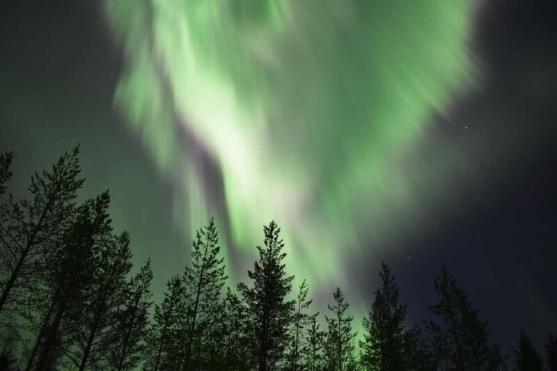 Rovaniemi: Aurora Husky Safari Through the Forest - Warmth, Comfort, and After the Ride