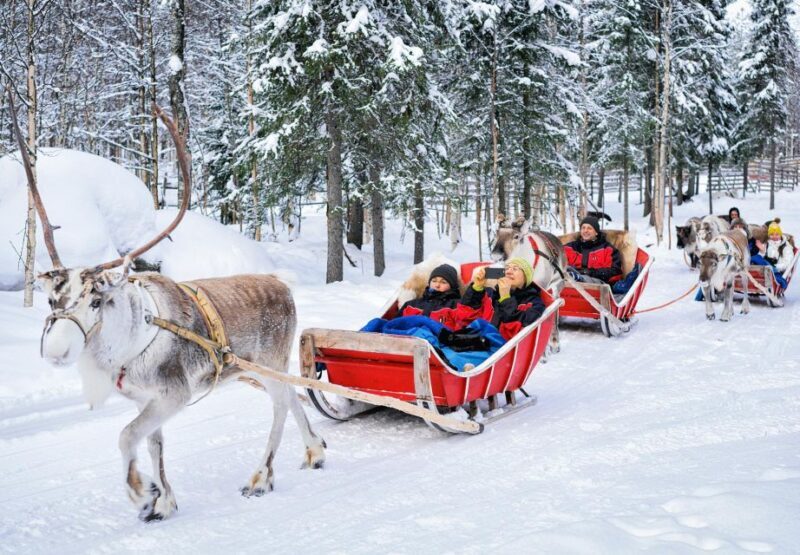 Rovaniemi: Authentic Reindeer Farm Visit and Sleigh Ride - The Journey Through the Reindeer Experience