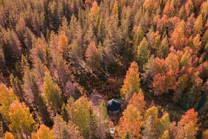 Rovaniemi Autumn Husky Safari & BBQ  610 km SelfDrive - What the Tour Is All About